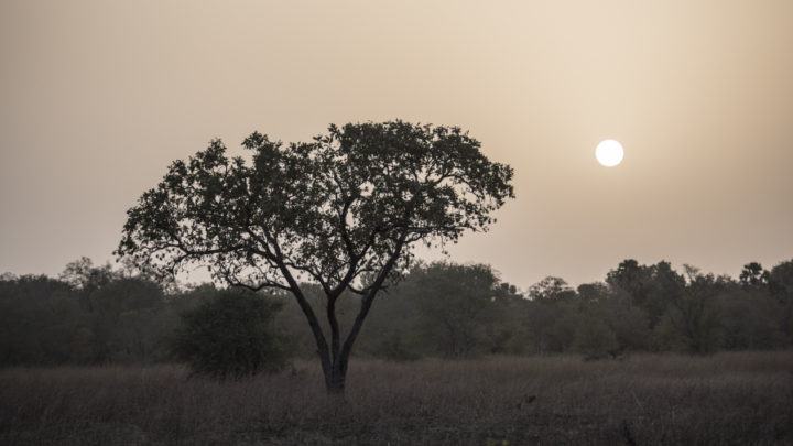 Bénin : Deux touristes Français enlevés