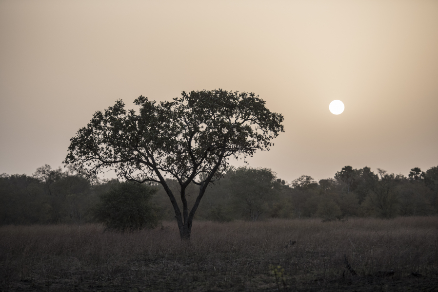 Bénin : Deux touristes Français enlevés