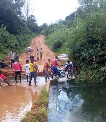 Côte d’Ivoire : A 59 ans de la célébration de la fête de l’indépendance, à Danané des zones rurales sont coupées du reste du monde.