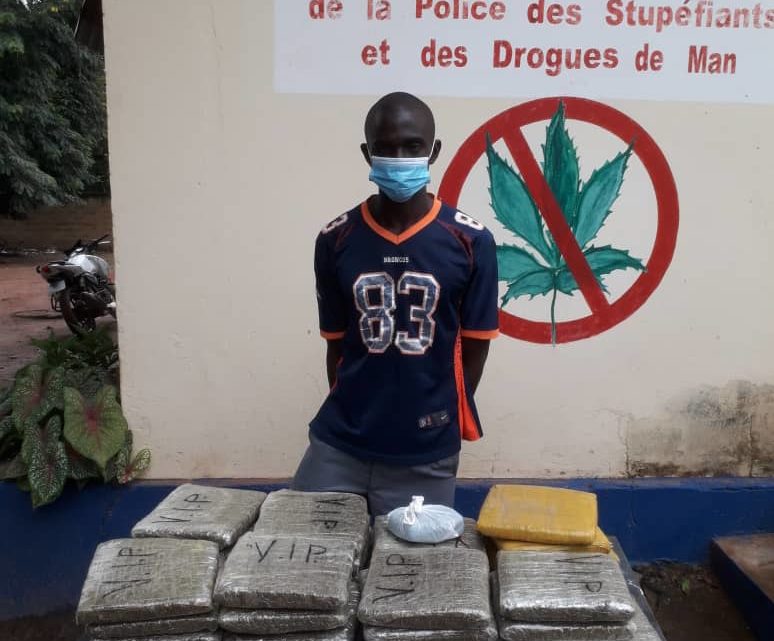 Côte d’Ivoire (Drogues et stupéfiants):  Un commerçant pris avec 24 blocs de cannabis à Man